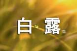 關(guān)于白露的寄語(yǔ)