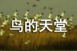 介紹鳥的天堂導(dǎo)游詞(精選20篇)