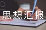 黨員思想?yún)R報材料