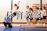 棒小兔體育教案