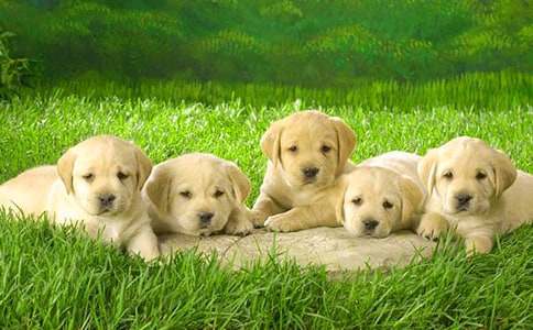 С������500�ּ���9ƪ