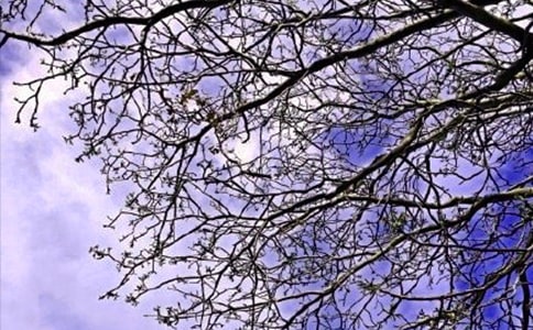 ���εă�(y��u)�����簲�����Z����36��