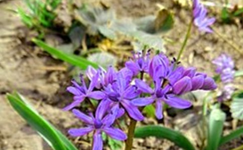 2026��ͨ��ÿ��һ���簲���Z����24�l