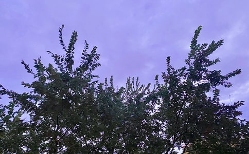 ��(ji��n)��������ϵ�簲��(w��n)���Z(y��)����19��